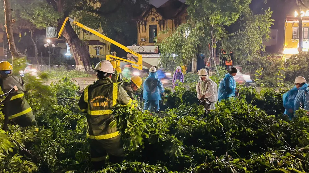 bão số 3 cây xanh hà nội 4.jpg