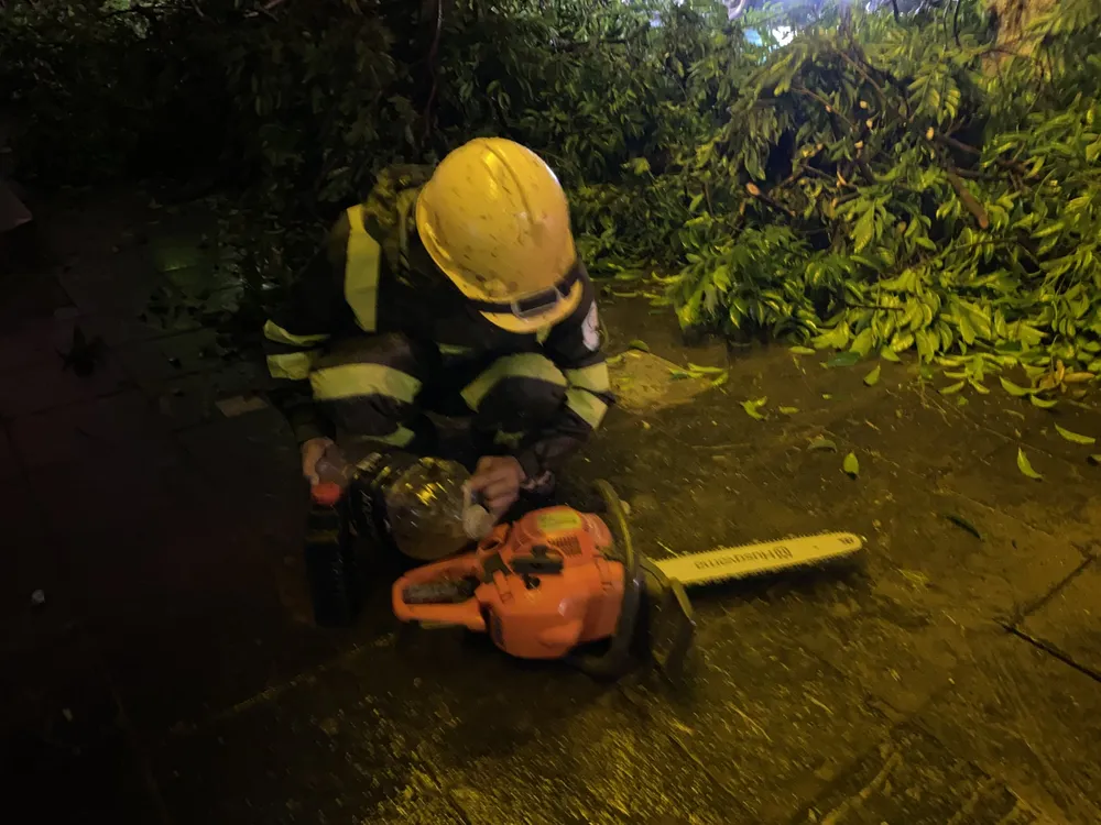 bão số 3 cây xanh hà nội 5.jpg