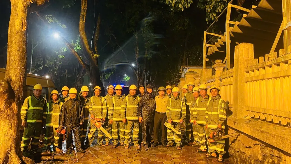 Công ty cây xanh TP.HCM xử lý xuyên đêm cây ngã ở Hà Nội và Hải Phòng do bão số 3