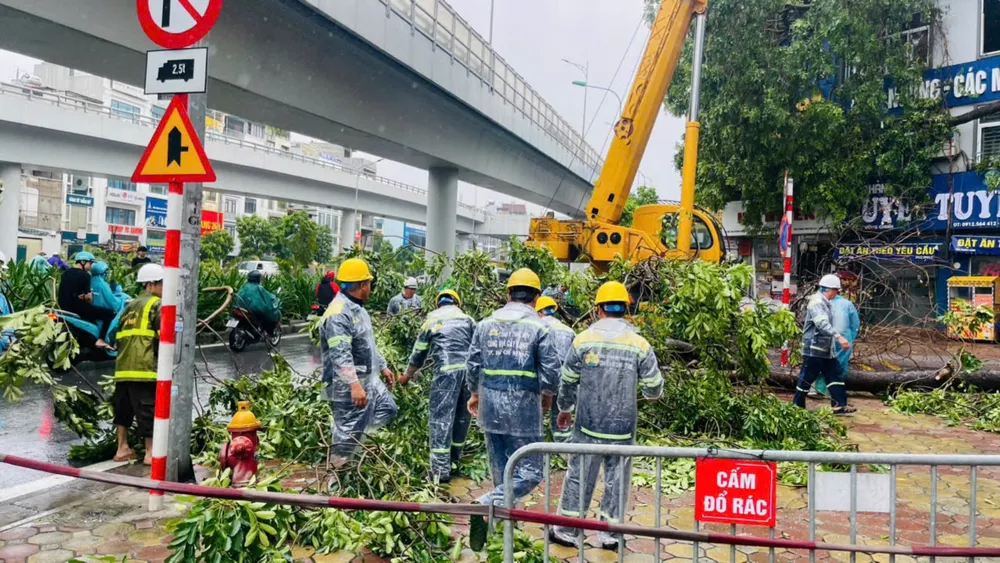 Công nhân Công ty cây xanh TP.HCM đội mưa làm nhiệm vụ cây xanh ngã hà nội 6.jpg