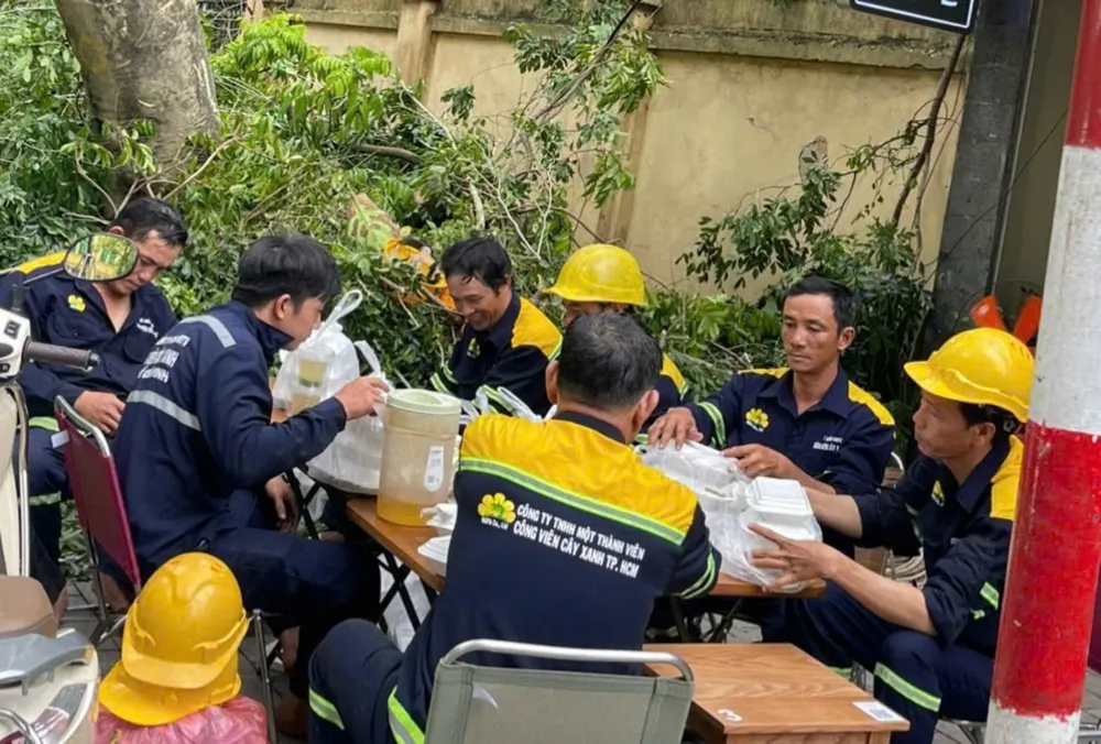 Công nhân Công ty cây xanh TP.HCM ăn vội bữa cơm để tiếp tục dọn cây xanh ngã đổ cây xanh ngã ở hà nội 7.jpg
