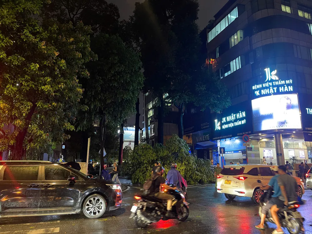 Cây xanh bật gốc khiến nhiều người bị thương ở quận 1, TP.HCM