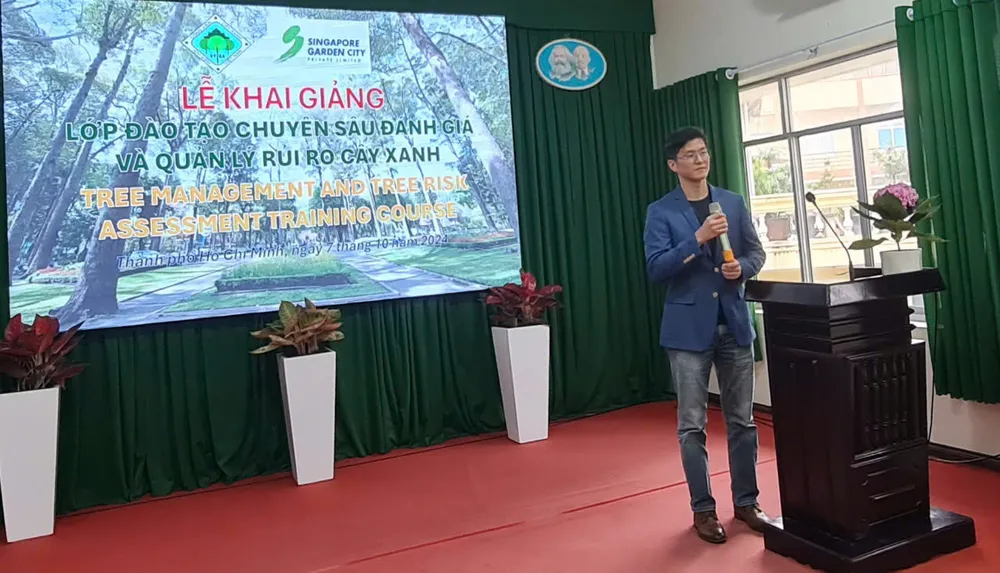 TP.HCM: Cây có tuổi sẽ mạnh dạn thay thế để giảm rủi ro về cây xanh