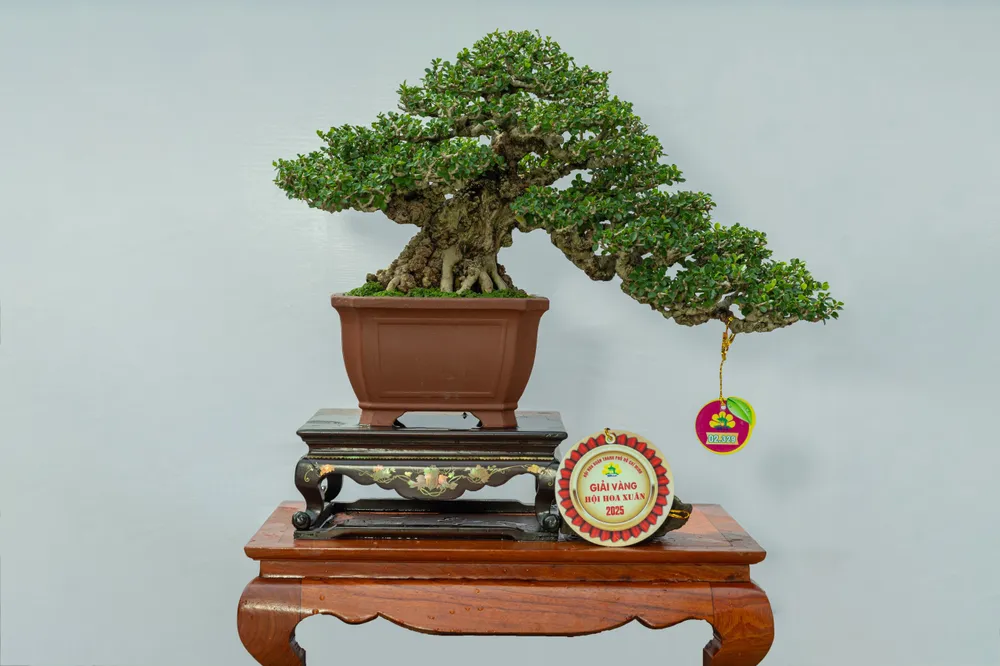 hội hoa xuân 5.jpg