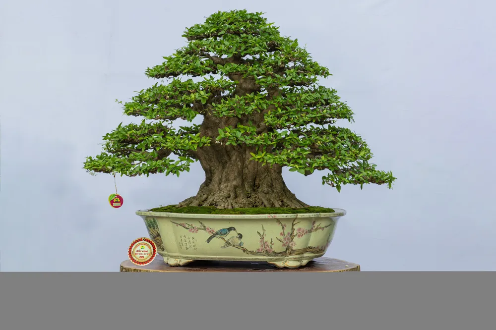 hội hoa xuân 6.jpg