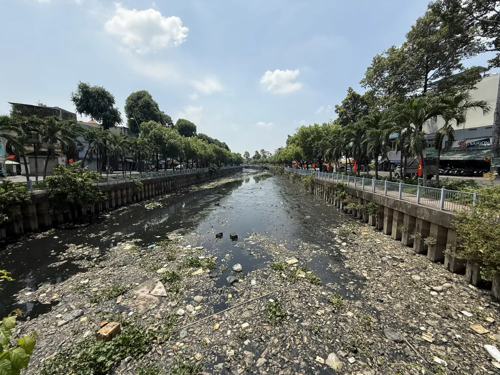'Đến hẹn lại lên' cá trên kênh Nhiêu Lộc - Thị Nghè chết la liệt