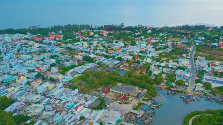 Trong thời gian tới huyện Cần Giờ sẽ phát triển hệ thống rừng. Ảnh: NGUYỄN TIẾN Năm 2025 huyện Cần Giờ sẽ trồng 70 ha rừng