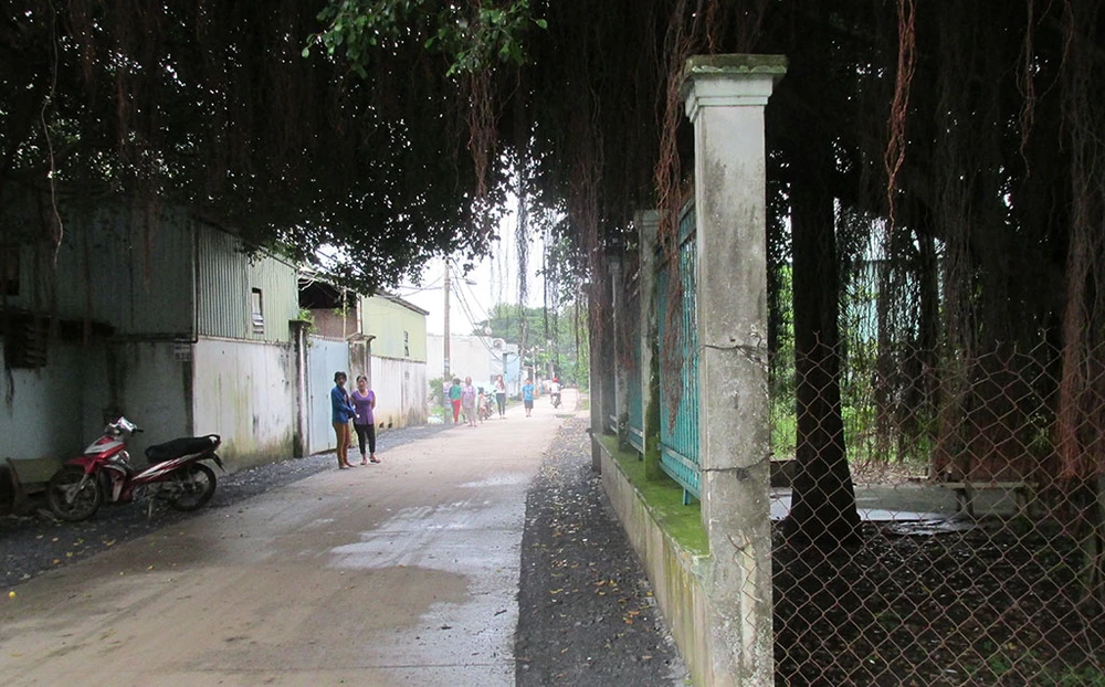 Phải hoàn thành tái lập mặt đường trong tháng 12-2016 ảnh 1