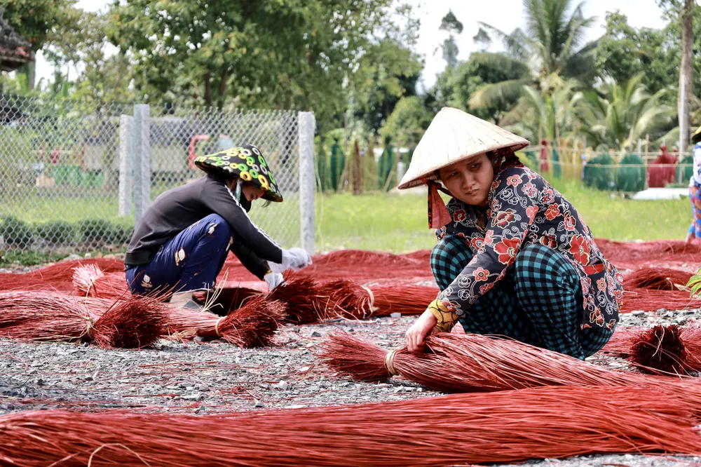 Người dân Định Yên đã gắn bó với nghề làm chiếu từ hàng trăm năm qua. Ảnh: DI LINH dong-thap-tao-hien-cho-chieu-dem-bang-san-pham-du-lich-cho-ma-dinh-yen-4.jpg