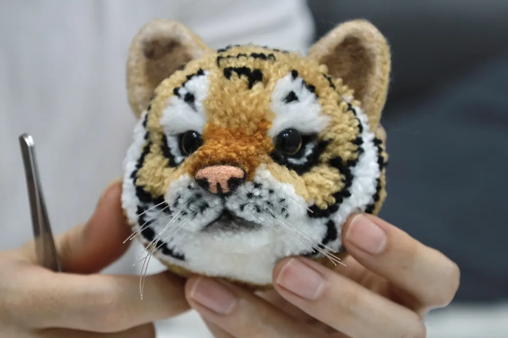 Pompom thường có kích thước từ 2 đến 11,5 cm. IMG_3413.jpg