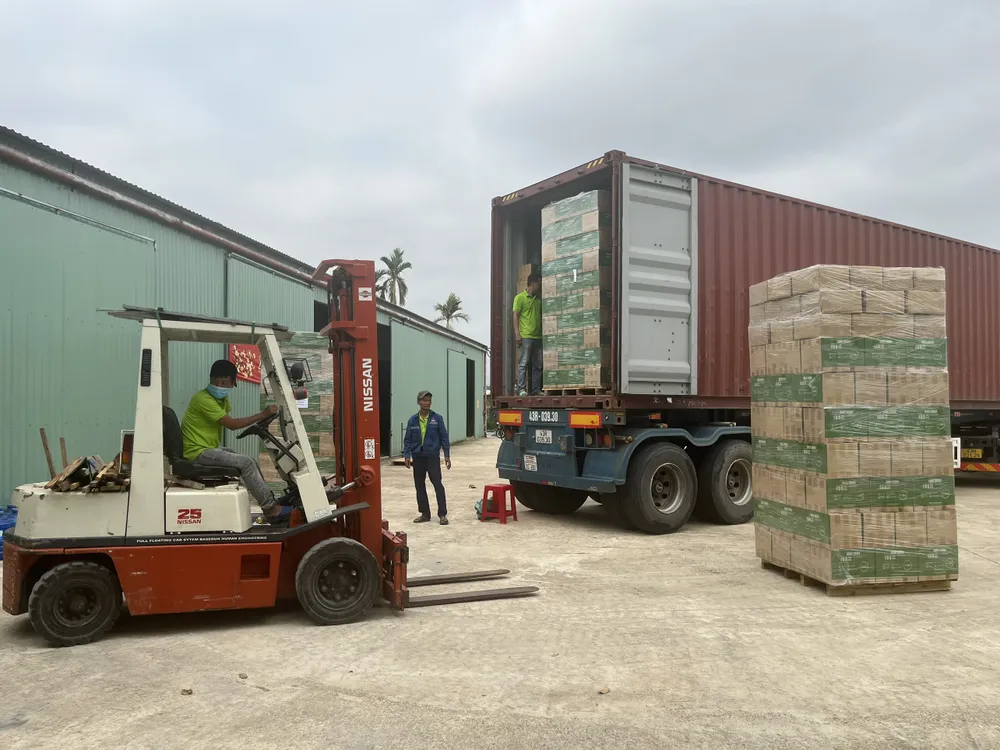 z6031389702525_f4b1ebf71eef6075a70aa0064dac98f5 (1).jpg