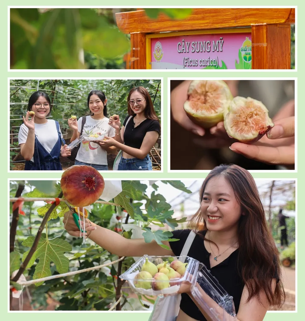 Thay thế nhựa bằng các chất liệu thân thiện với môi trường (4).jpg