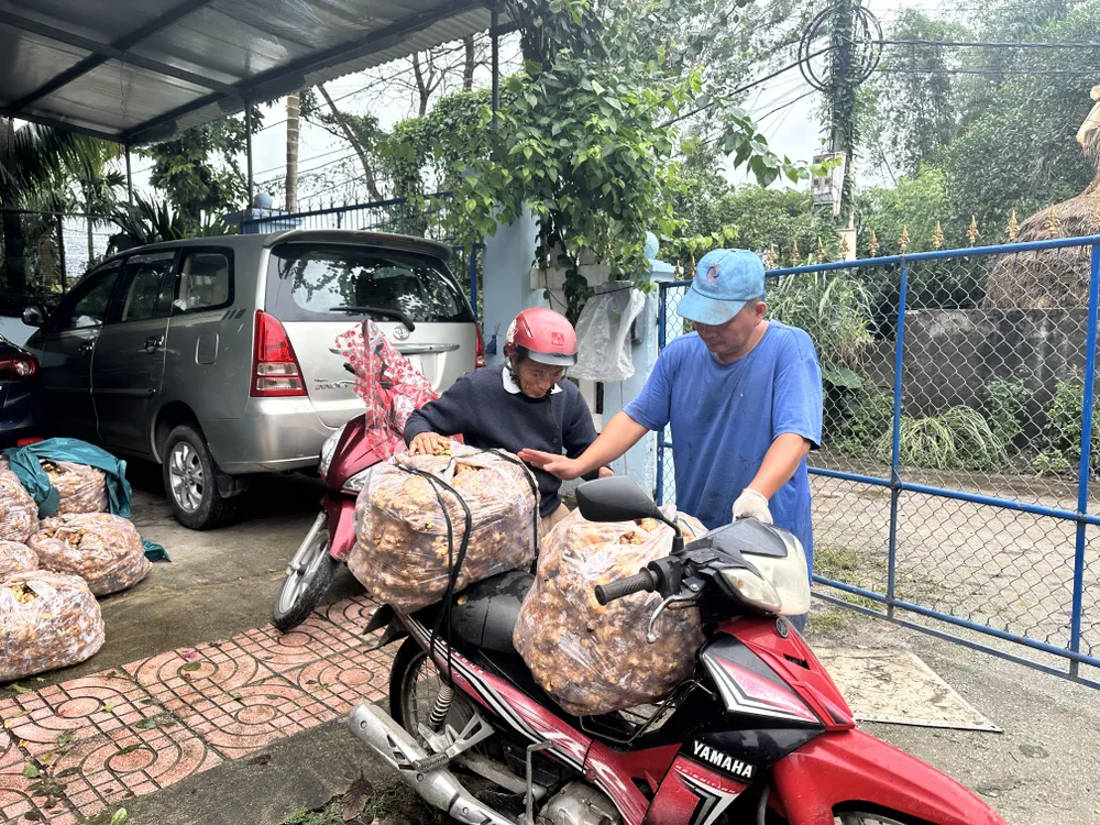 Làng nghề mứt gừng nức tiếng Quảng Ngãi đỏ lửa vào vụ Tết