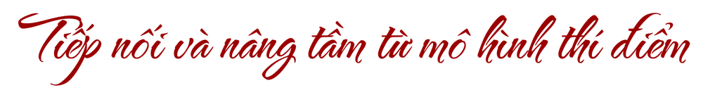 Giữ vững “lá chắn” an toàn thực phẩm giữa lòng đô thị 10 triệu dân