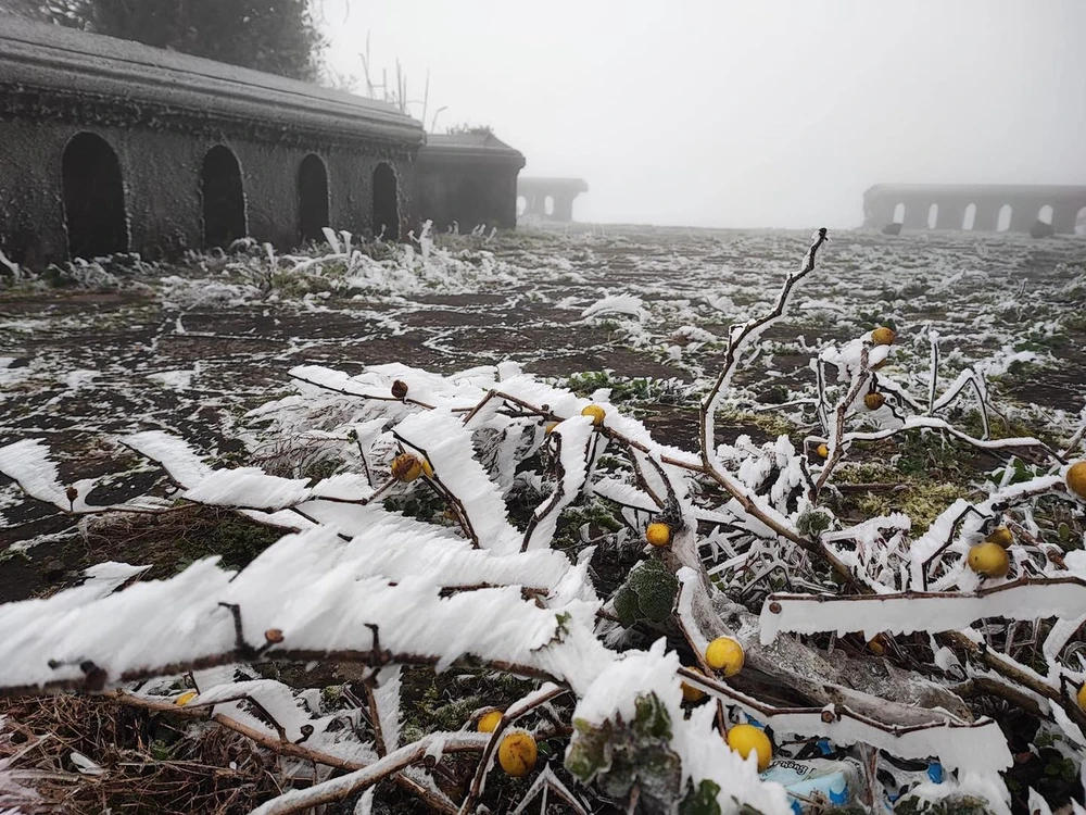 Băng tuyết phủ kín đỉnh Mẫu Sơn 2.jpg