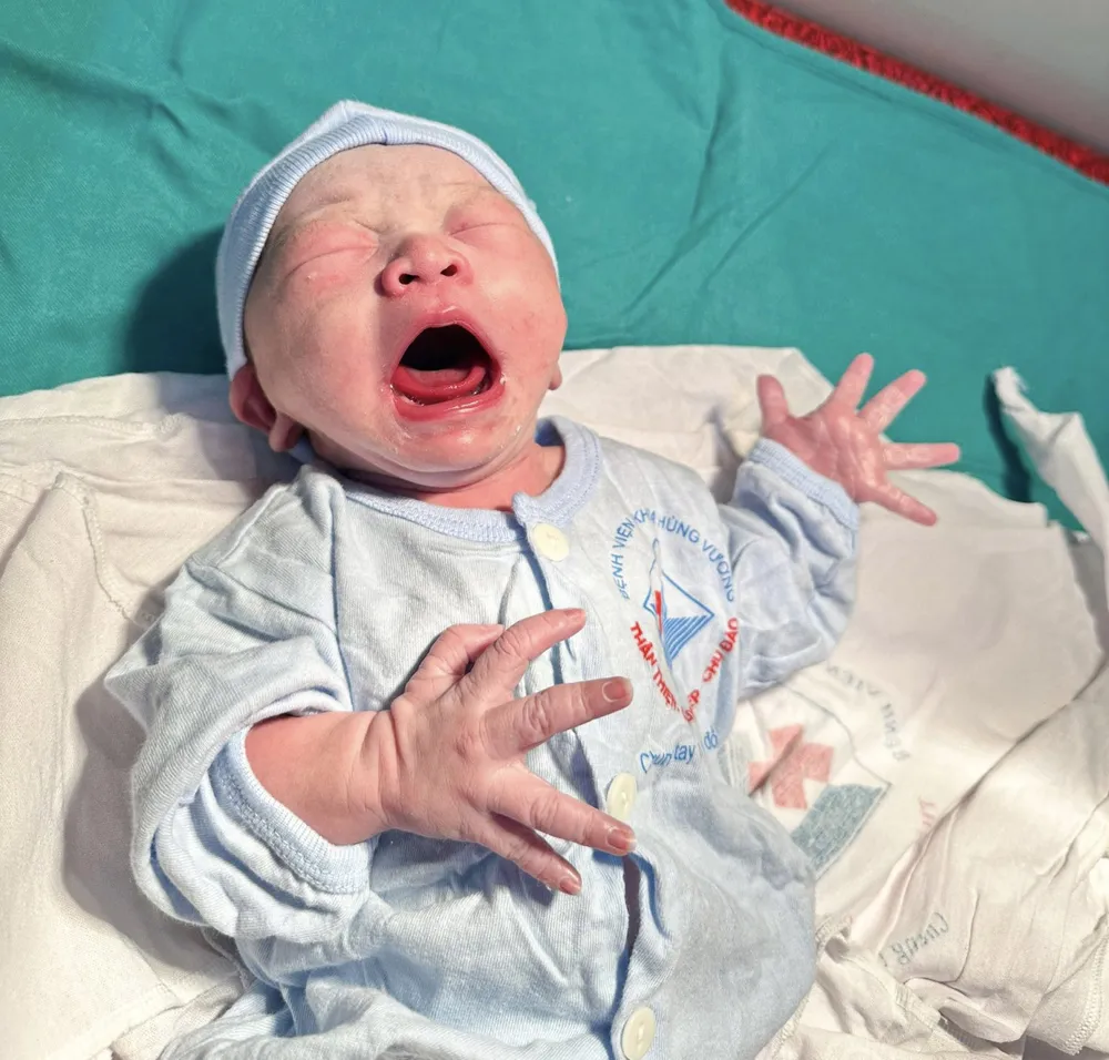 Bé rồng vàng 2.jpeg