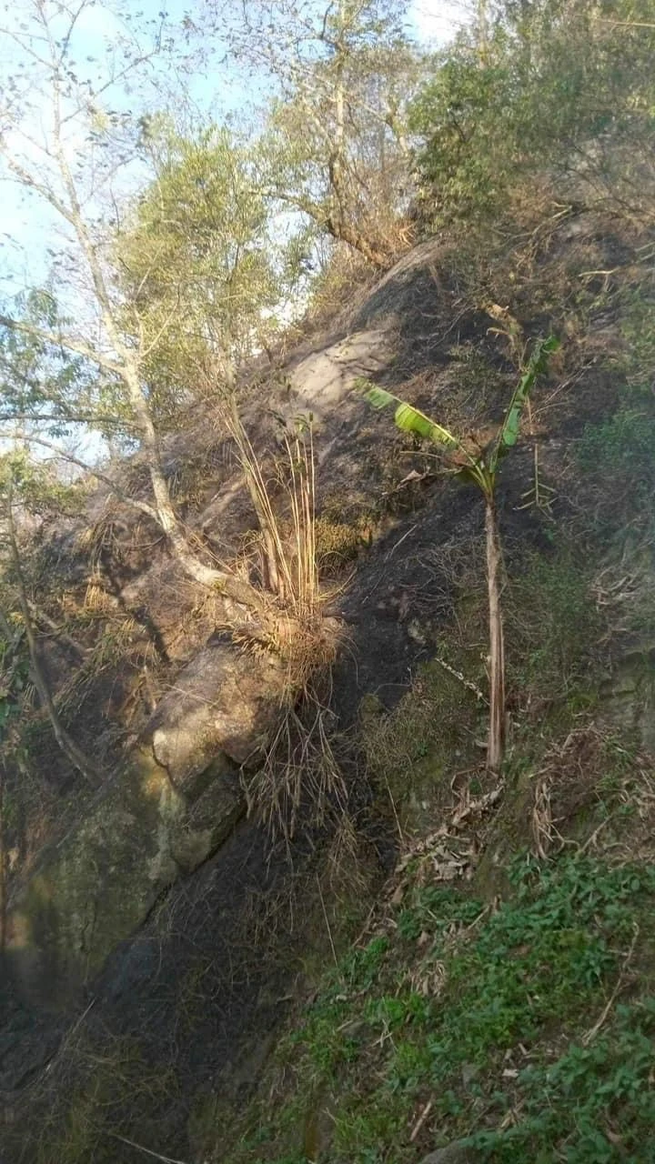 Các lực lượng nỗ lực chữa cháy tại Vườn Quốc gia Hoàng Liên.jpeg