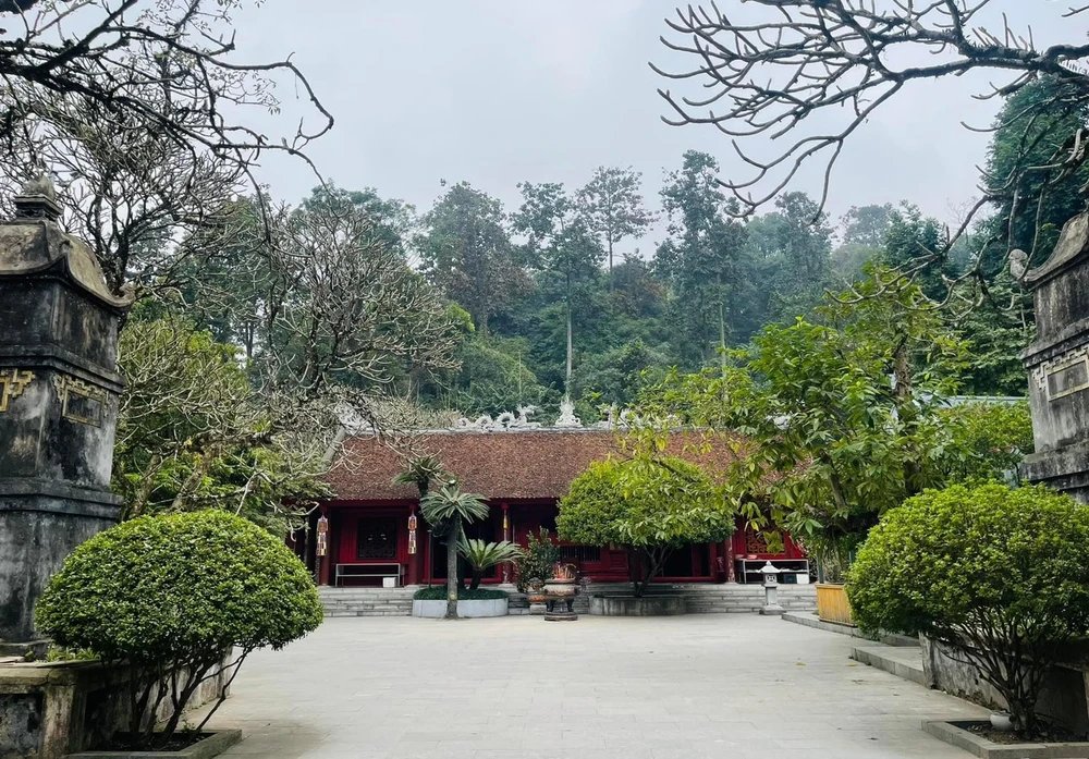 Cây vạn tuế 800 tuổi ở đền Hùng và buổi nói chuyện của Bác Hồ với Đại đoàn quân Tiên phong 6 copy.jpg