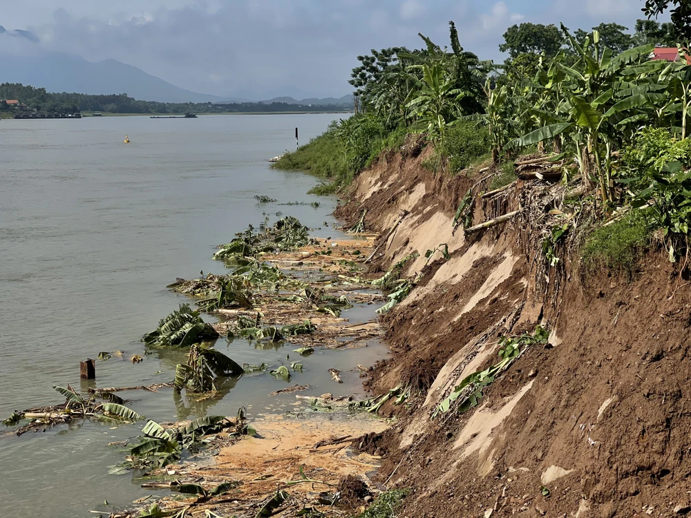 Phú Thọ đầu tư 14,5 tỷ đồng kè khẩn cấp vị trí sạt lở bờ sông Đà.jpg