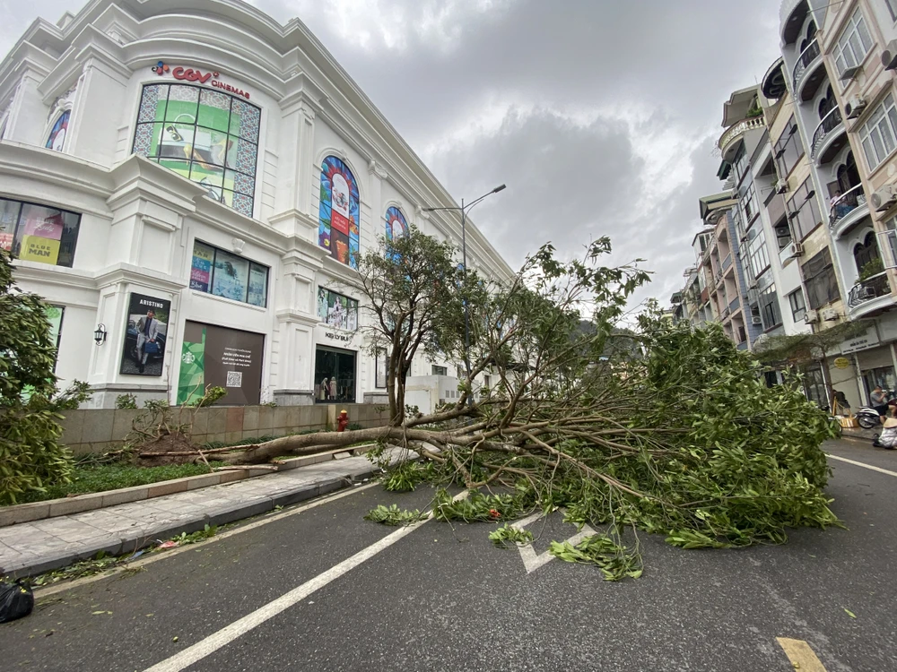 Hạ Long sau bão số 3 2.jpg