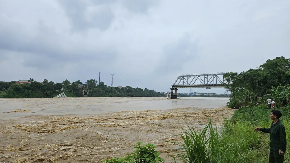 Cầu Phong Châu bị gãy trụ T7 và làm sập 2 nhịp dàn chính của cầu. Ảnh NH Người hùng vụ sập cầu Phong Châu Ai cũng sẽ làm như vậy.jpg