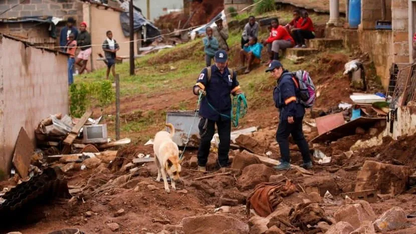 Lực lượng cứu hộ sử dụng chó nghiệp vụ để tìm kiếm thi thể các nạn nhân bị vùi lấp trong đống đất đá sau trận lũ lụt ở Nam Phi, ngày 17-4. Ảnh: REUTERS