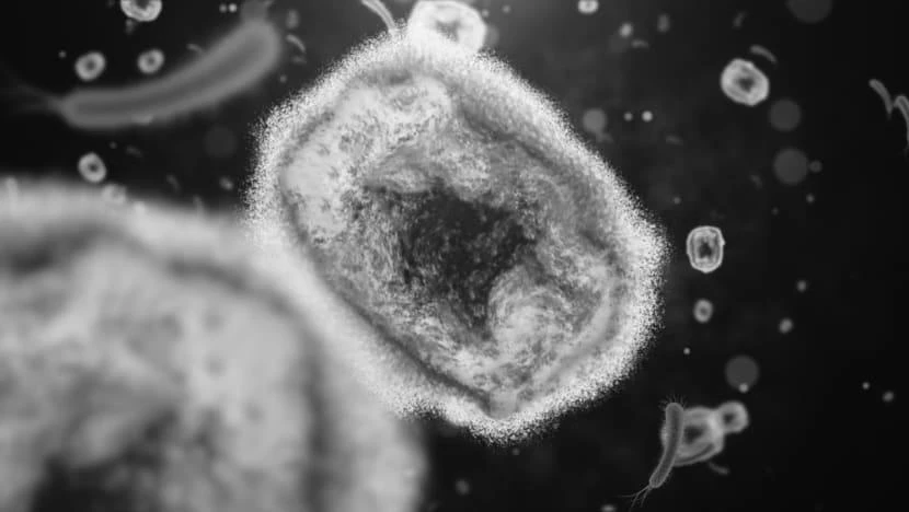 Hình chụp virus đậu mùa khỉ từ kính hiển vi điện tử. Ảnh: ISTOCK