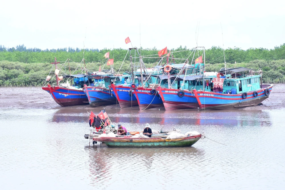 Cảng cá Ngọc Hải, quận Đồ Sơn, Hải Phòng. Ảnh: AV