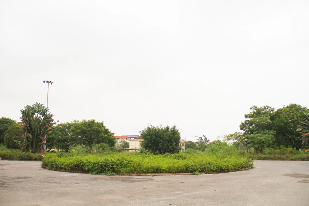 Phía trong công viên, cỏ mọc um tùm nhưng không có người chăm sóc. Ảnh: Ngọc Sơn