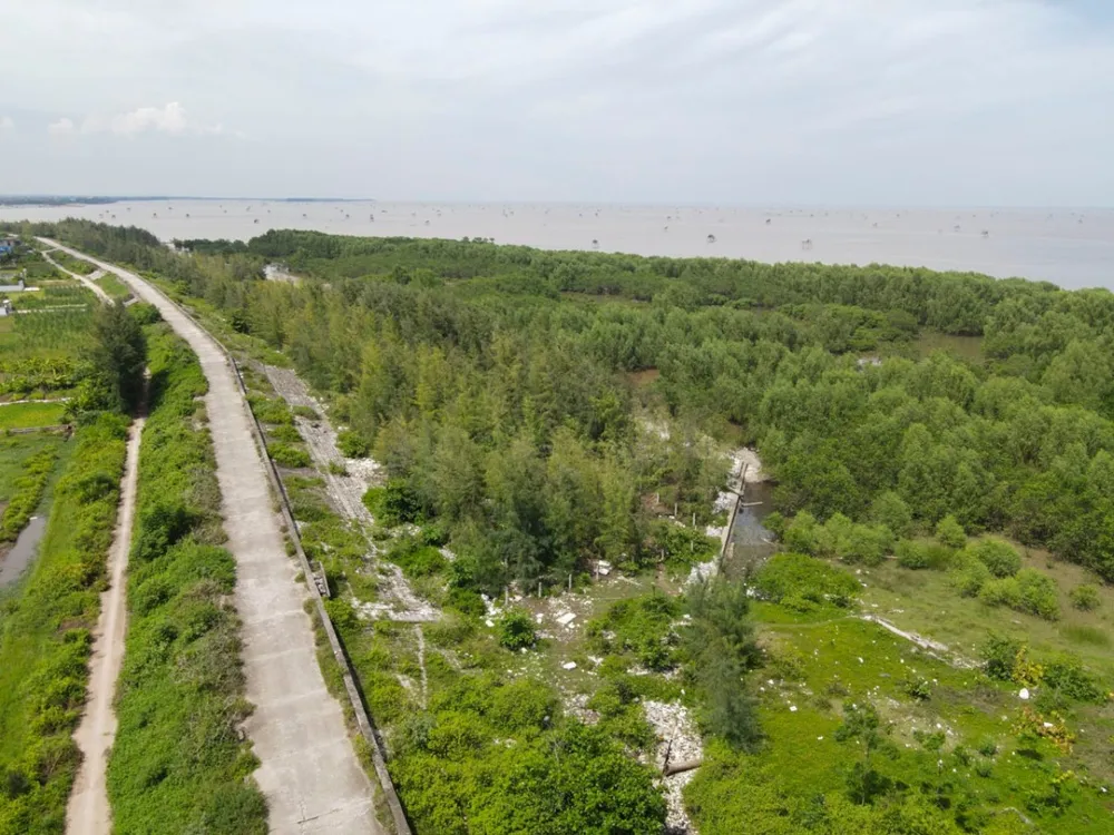 Khu vực khu bảo tồn thiên nhiên đất ngập nước Tiền Hải trên địa phận xã Nam Thịnh, huyện Tiền Hải. Ảnh: T.H Khu vực khu bảo tồn thiên nhiên đất ngập nước Tiền Hải trên địa phận xã Nam Thịnh, huyện Tiền Hải. Ảnh: T.H