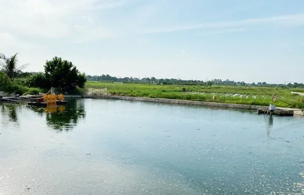 Khu vực xảy ra sự việc