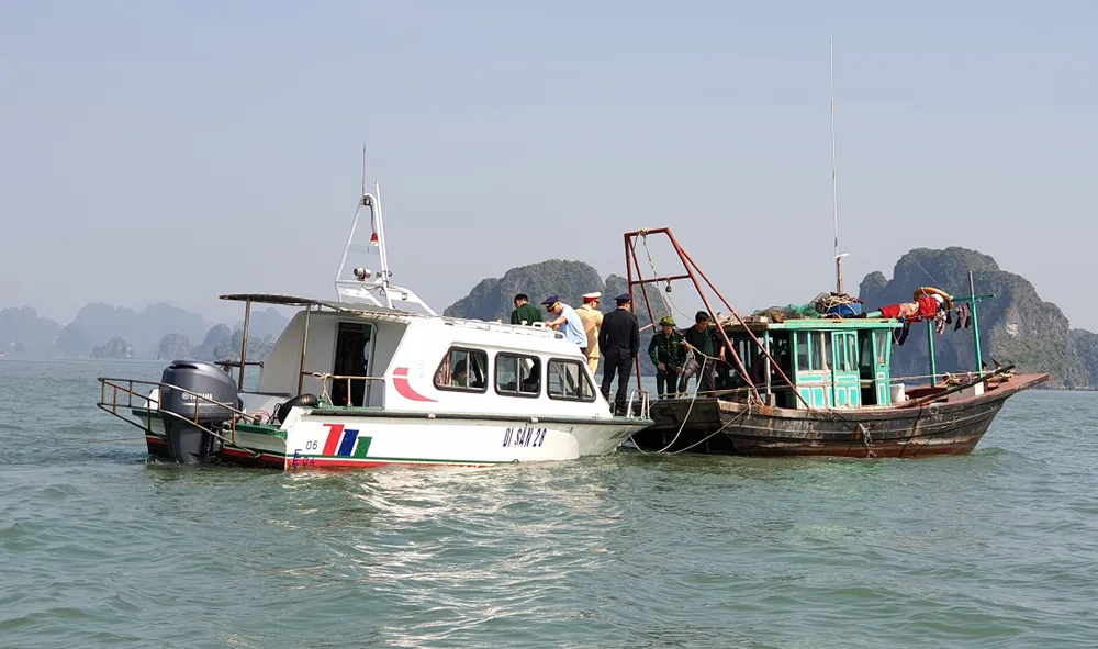 Lực lượng chức năng tỉnh Quảng Ninh kiểm tra tàu cá khai thác thuỷ sản trên vịnh Hạ Long