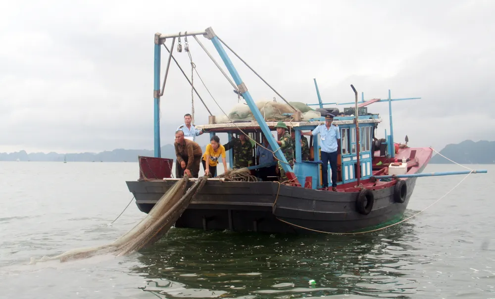 Lực lượng chức năng tỉnh Quảng Ninh kiểm tra tàu cá khai thác thuỷ sản trên vịnh Hạ Long