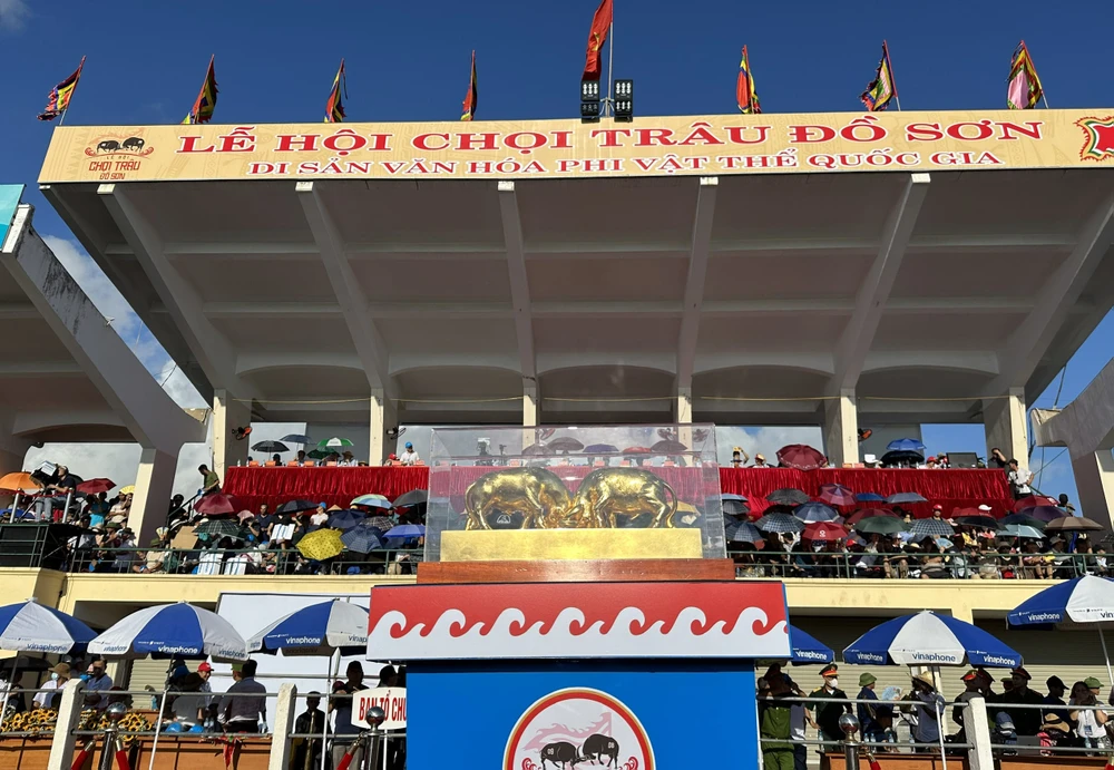 Phần thưởng dành cho trâu vô địch. Ảnh: NGỌC SƠN choi-trau-6.jpg
