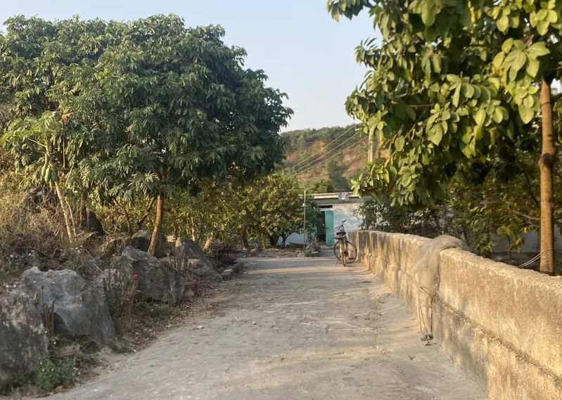 phát hiên hài cốt ở thôn 5, làng Pháp Cổ, xã Lại Xuân, Thuỷ Nguyên