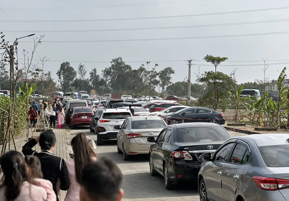 Chùa Cây Thị tọa lạc ở thôn Chè Trình, xã Thanh Tâm, huyện Thanh Liêm, tỉnh Hà Nam. Ngoài ra, chùa Cây Thị ở Hà Nam được biết đến là đạo tràng Phật tử tu tập lớn tại Hà Nam. Những ngày Tết này, hàng nghìn người dân, du khách thập phương đến với chùa mỗi ngày để chiêm bái và chụp ảnh