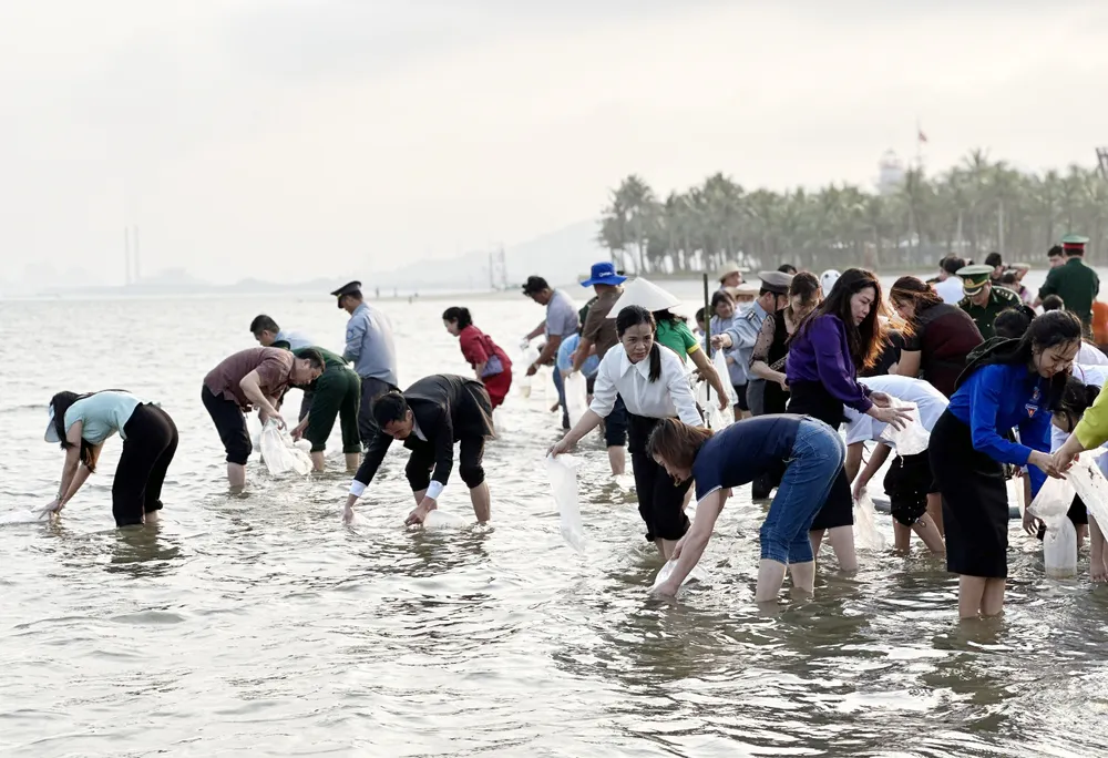 quang-ninh-tha-5-trieu-con-giong-xuong-bien-de-tai-tao-nguon-loi-thuy-san-6.jpg