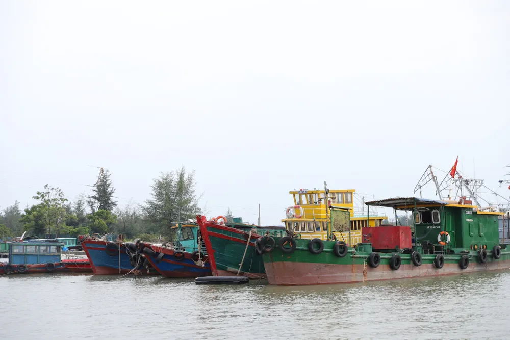 Thủ tướng chỉ đạo tập trung ứng phó bão số 2 và mưa lũ. Ảnh: NGỌC SƠN Thủ tướng chỉ đạo tập trung ứng phó bão số 2 và mưa lũ. Ảnh: NGỌC SƠN