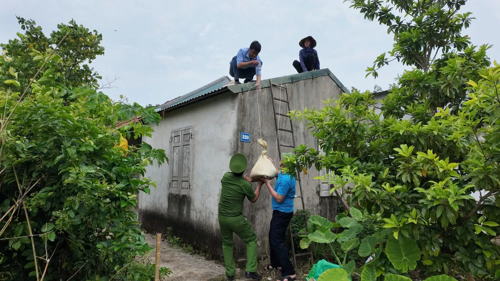 Lực lượng chức năng giúp người dân gia cố lại nhà cửa trên đảo Cô Tô trước khi cơn bão số 3 đổ bộ. Ảnh: THU BÁU cac-huyen-dao-hoi-ha-phong-chong-sieu-bao-so-3--9.jpg