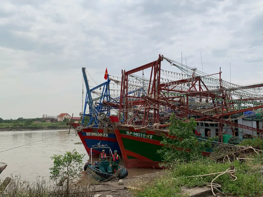 Các tàu tại cảng cá Mắt Rồng đều đã về nơi tránh trú an toàn trước cơn bão số 3. Ảnh: NGỌC SƠN Các tàu tại cảng cá Mắt Rồng đều đã về nơi tránh trú an toàn trước cơn bão số 3. Ảnh: NGỌC SƠN