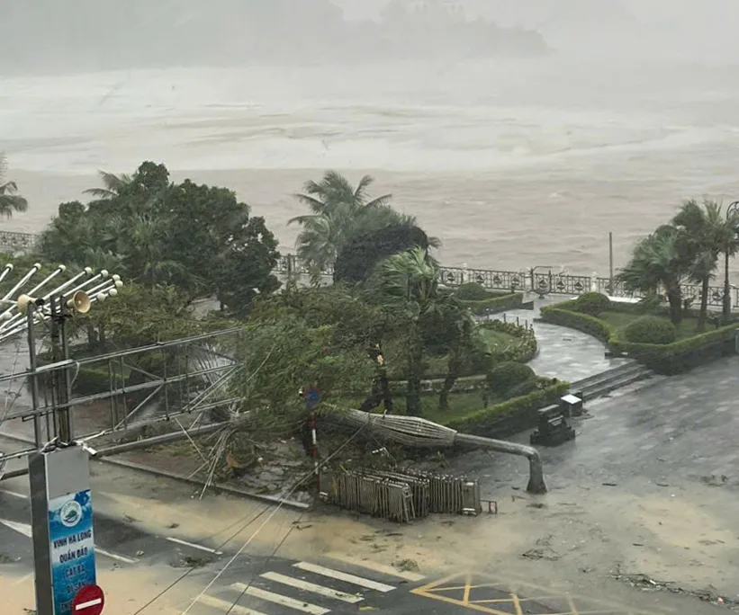 Bão số 3 đổ bộ khiến nhiều cây cột điện, cây xanh tại đảo Cát Bà (huyện Cát Hải, Hải Phòng) gẫy đổ. Ảnh: NGỌC SƠN