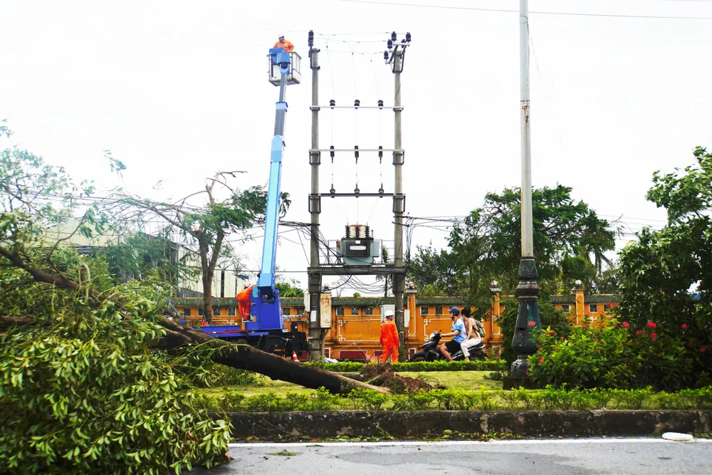 Điện lực Hải Phòng triển khai sửa chữa hệ thống điện sau bão số 3. Ảnh: NGỌC SƠN