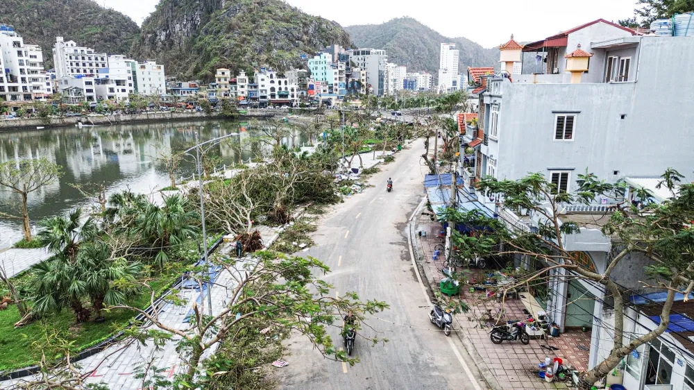 Cây cối quanh hồ Tùng Dinh cũng bị gãy đổ hàng loạt. Ảnh: NGỌC SƠN nhung-hinh-anh-hoang-tan-dau-tien-ve-cat-ba-sau-bao-so-3-11.jpg