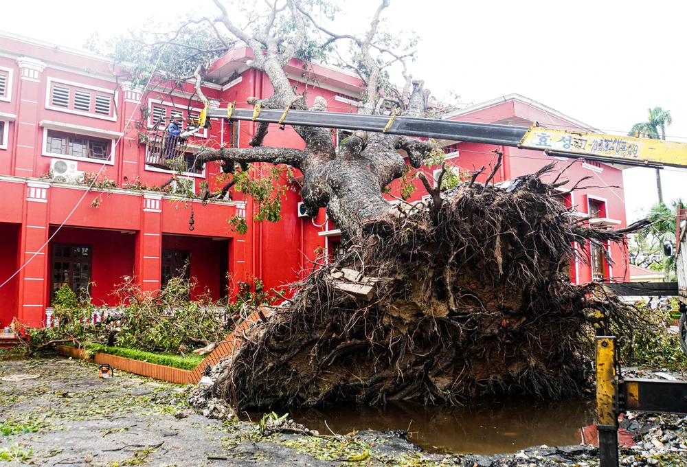 Ông Phạm Văn Thu, Phó giám đốc Xí nghiệp công viên cây xanh 1 (thuộc Công ty TNHH MTV Công viên cây xanh TP.HCM) cho biết sau khi nhận chỉ đạo của lãnh đạo công ty, đoàn gồm 27 người đã đến Hải Phòng từ trưa qua để phụ giúp các đồng nghiệp của mình tại Hải Phòng. Đoàn mang theo đầy đủ máy móc, trang thiết bị cần thiết để cắt, tỉa cây xanh. Sau khi ăn trưa, 27 người chia thành 3 nhóm bắt tay vào công việc đến tận tối. Ảnh: NGỌC SƠN