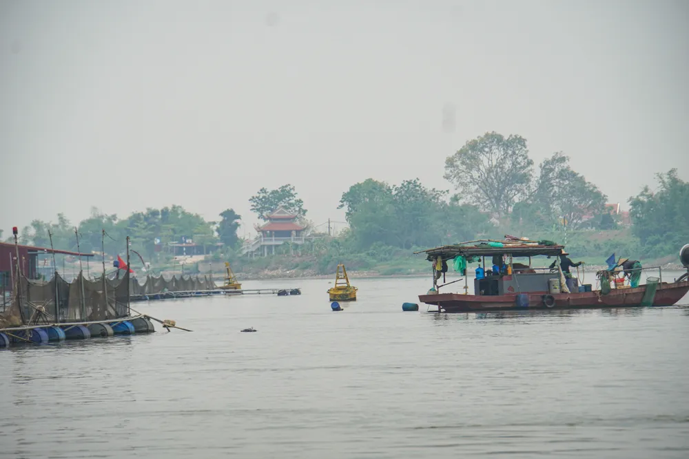Các lái tàu mong muốn cơ quan chức năng sớm có biện pháp quản lý lồng nuôi cá, không thể để các lồng nuôi ngày một dày đặc, khiến giao thông đường thủy trên khúc sông này gặp nhiều khó khăn. Ảnh: NS hai-duong-long-nuoi-ca-phu-kin-khuc-song-lai-tau-than-troi-11.JPG