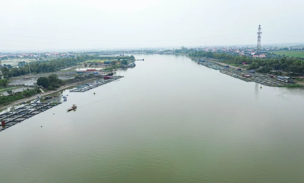 Nuôi cá lồng trên sông đã trở thành nghề chính, thu hút hàng ngàn lao động. Tuy nhiên, chính từ đó, nhiều địa phương đã phát triển "nóng" dẫn đến nguy cơ ô nhiễm môi trường và nguồn nước cao, tiềm ẩn rủi ro về dịch bệnh, sự cố môi trường và cả giao thông đường thủy. Ảnh: NS hai-duong-long-nuoi-ca-phu-kin-khuc-song-lai-tau-than-troi-2.JPG