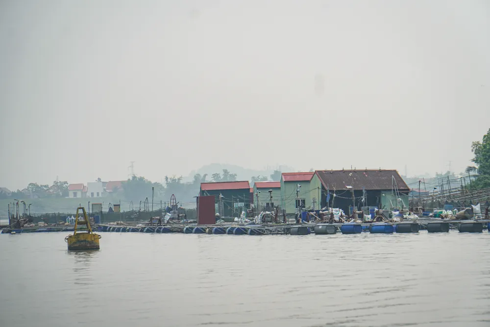 hai-duong-long-nuoi-ca-phu-kin-khuc-song-lai-tau-than-troi-4.JPG