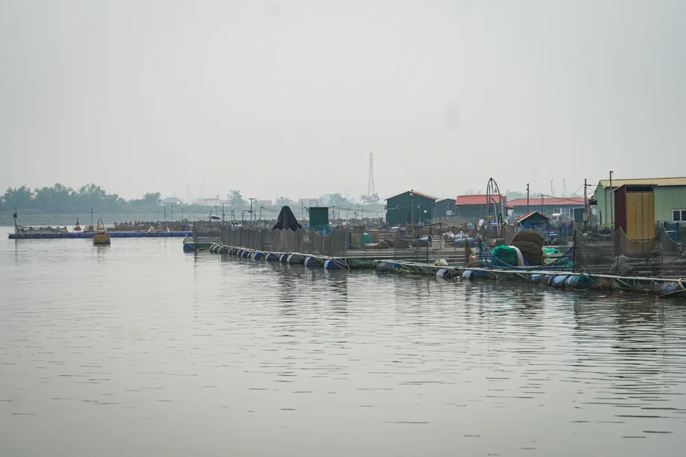 hai-duong-long-nuoi-ca-phu-kin-khuc-song-lai-tau-than-troi-5.JPG