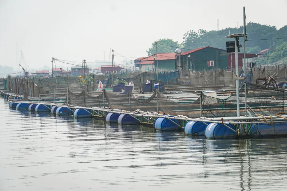 Ô lồng được thiết kế bằng khung thép gắn phao nhựa. Dưới nước, các hộ dân thả lưới nuôi thủy sản, còn phần trên nhiều hộ dựng nhà mái tôn. Ảnh: NS hai-duong-long-nuoi-ca-phu-kin-khuc-song-lai-tau-than-troi-7.JPG