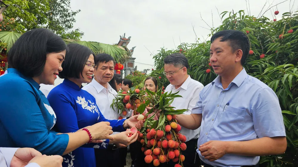 Các đại biểu thưởng thức vải thiều Thanh Hà đầu mùa. Ảnh: NS xuat-khau-lo-vai-thieu-thanh-ha-dau-tien-trong-nam-nay-di-nhat-ban-1.jpg